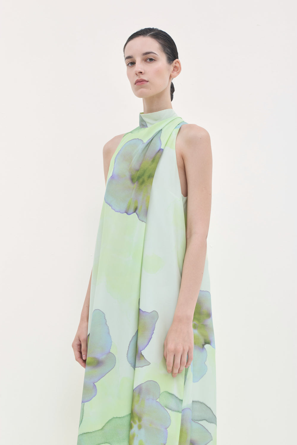 Delena Printed Silk Dress